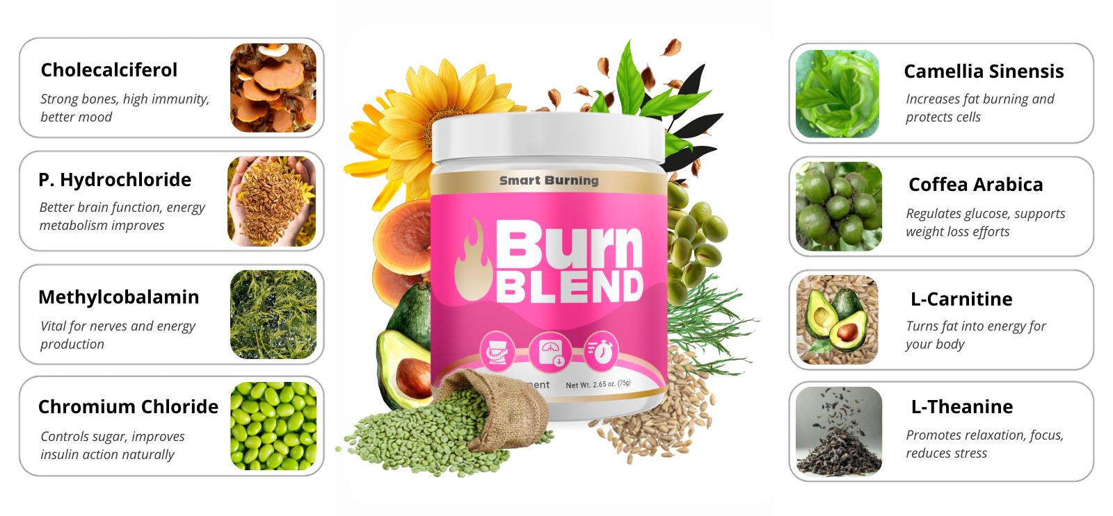 Powerful Ingredients — BurnBlend